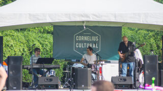 The Brian Burton Trio at the  festival in 2015