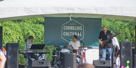 The Brian Burton Trio at the  festival in 2015