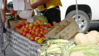 farmersmarket5