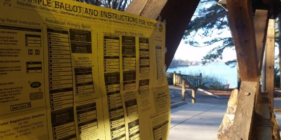 Lakeside voting: Sample ballot outside 242