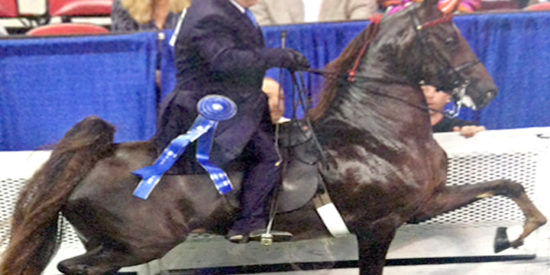 Horse
