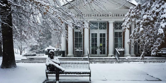 Snow_BENCH