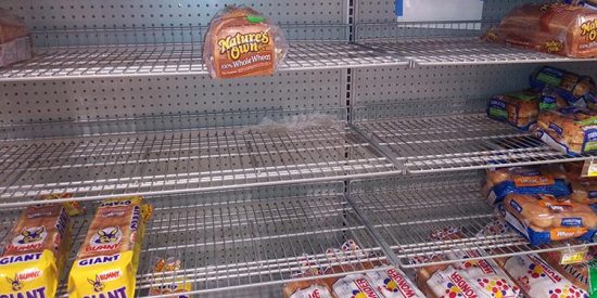 EmptyBreadShelvesReduced