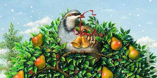 Partridge-In-A-Pear-Tree1750