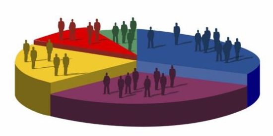 demographics1