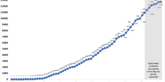 CumulativeTotalbyDateofSpecimenCollection
