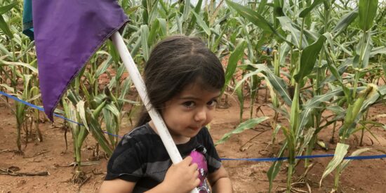 Rural Hill Amazing Maize Maze