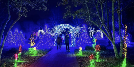 Holidays at the Garden