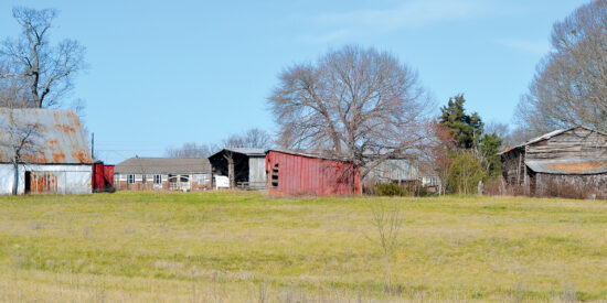 Alexander Farm / Photo by Jason Benavides