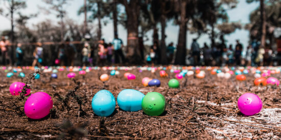 Easter egg hunt