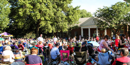 2014-July-4Town Green concert audience