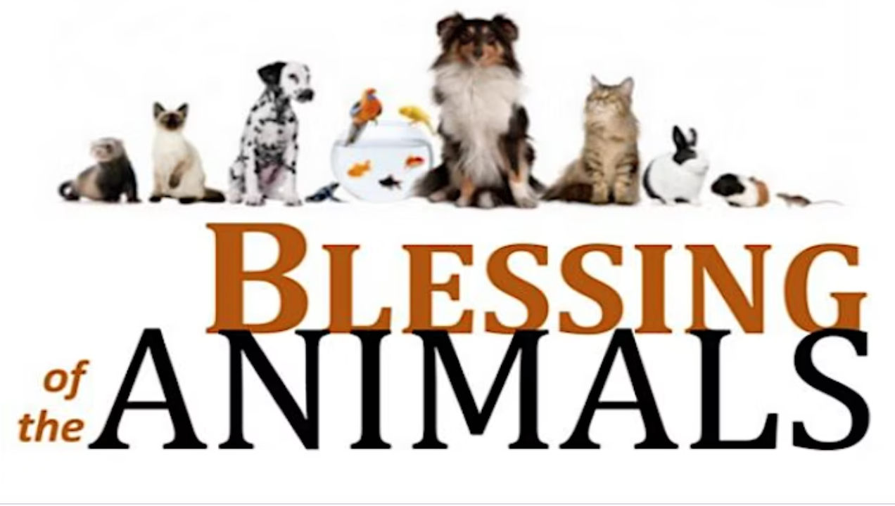 Blessing of the Animals Oct. 1 at First Baptist, Oct. 2 at Mt. Zion |  Cornelius Today