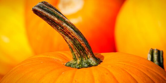 Please send your pumpkin recipes to corneliustoday@gmail.com.