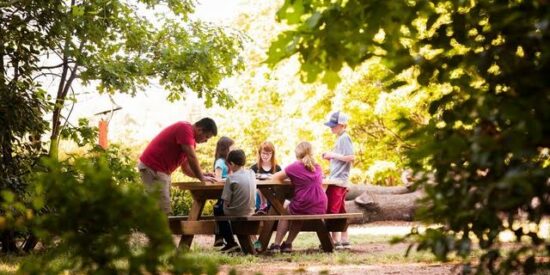 State Sen. Natasha Marcus, District 41, said “I was honored to be the one to share this good news with Ms. Dixon and wish her and her students lots of educational fun with their garden project.” Photo Pioneer Community School