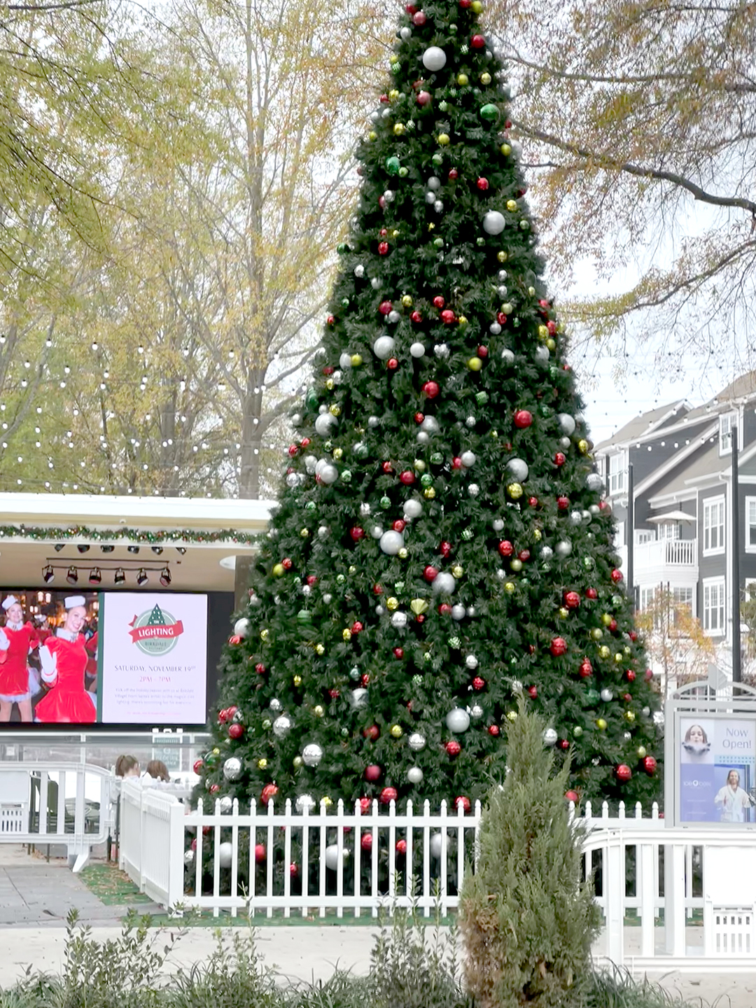 Birkdale Village Christmas tree_JB_6863 Cornelius Today
