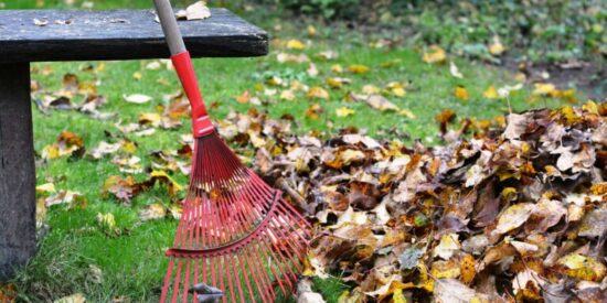 Popular town service:  Town will pick up leaves left at curbside. 