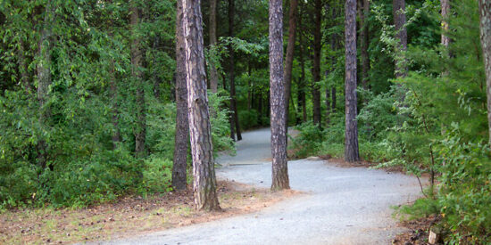 Cornelius has  a variety of options for your enjoyment, from earthen trails through wooded areas to paved greenways across open fields. Photo | Town of Cornelius