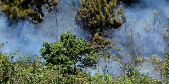 The county will conduct a controlled burn this afternoon at Rural Hill Nature Preserve. 