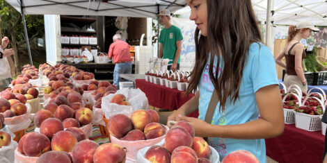 Davidson Farmers Market_9864