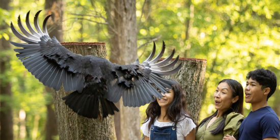 Photo: Carolina Raptor Center