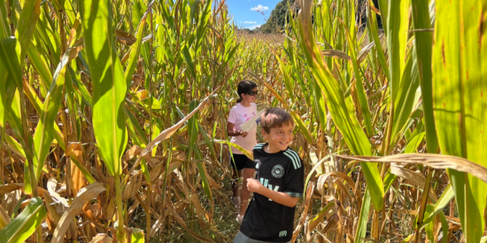 Amazing Maize Maze at Rural Hill / Photo by Jason Benavides