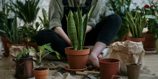 pexels-cottonbro-studio-4503261