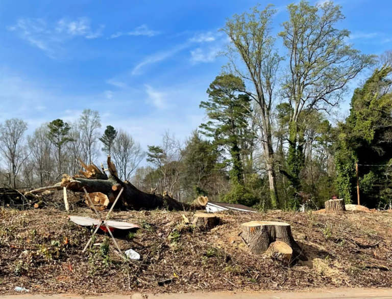 Clearing for roundabout, apartments takes toll on landscape at