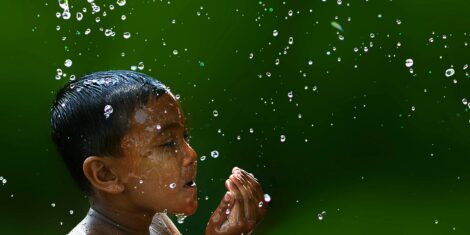 pexels-pixabay-160833