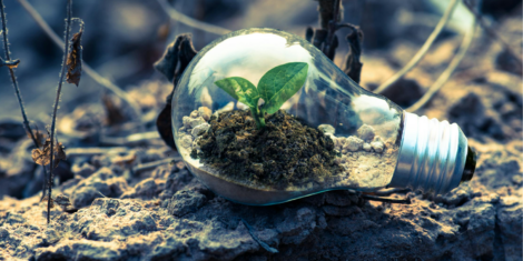 EarthTalk: Green tech companies