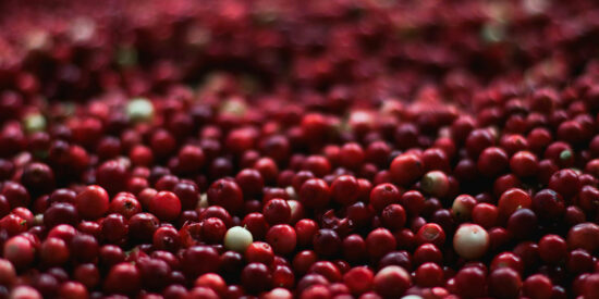 cranberry