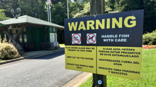 Warning sign at the entrance to Jetton Park