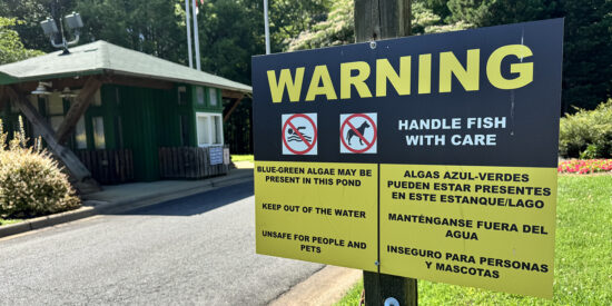 Warning sign at the entrance to Jetton Park
