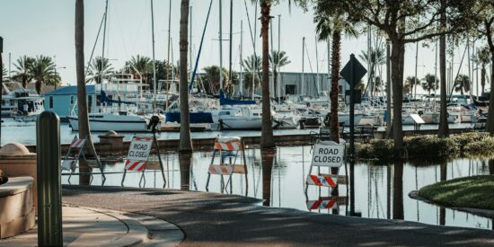 Photo: Connor McManus/Pexels