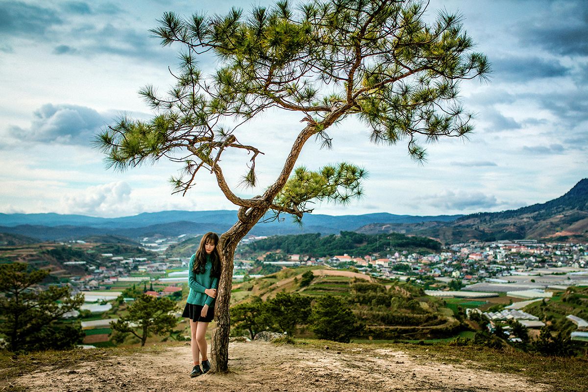 EarthTalk: Is there a link between good health and trees?
