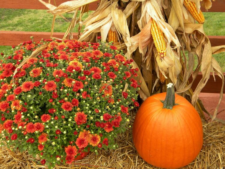 Inaugural Fall Festival on September 26th