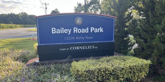 Bailey