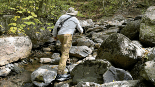 Modern Dad November WEB