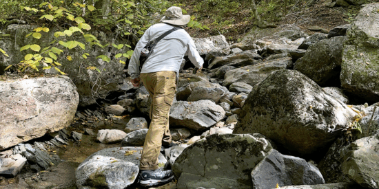 Modern Dad November WEB