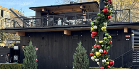 Suffolk Punch in Birkdale Village / Jason Benavides photo