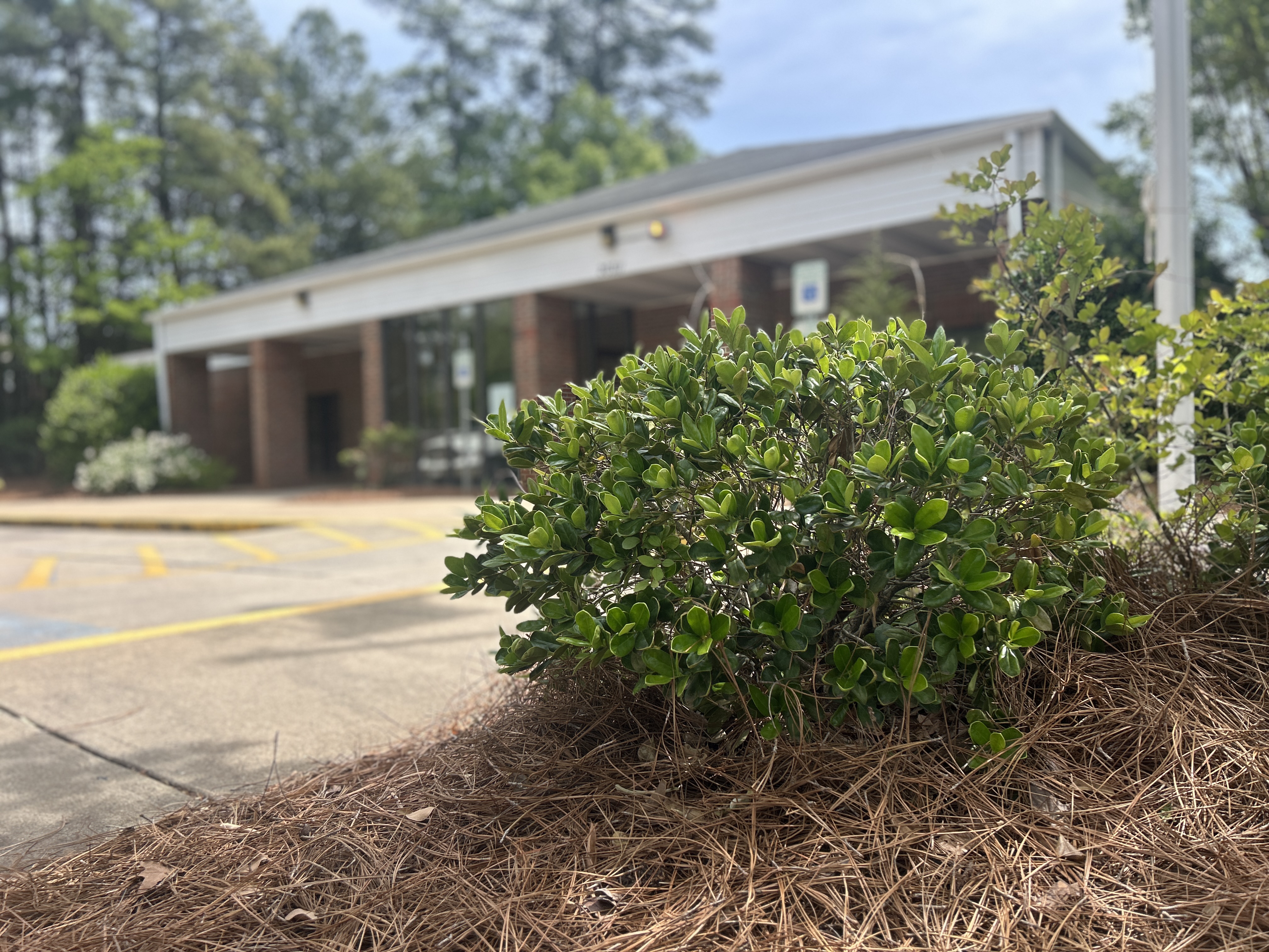 Cornelius Resident Delivers Post Office Improvements - Cornelius Today