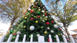 BVChristmasTree2023_2274